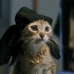Mais qui est Keanu, le mystérieux chat au chapeau ? Mais qui est Keanu, le mystérieux chat au chapeau ?